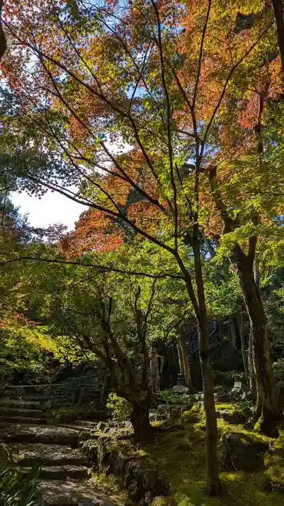 常寂光寺(京都府)