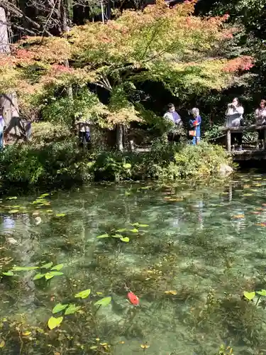 根道神社の庭園