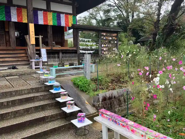般若寺 ❁コスモス寺❁(奈良県)