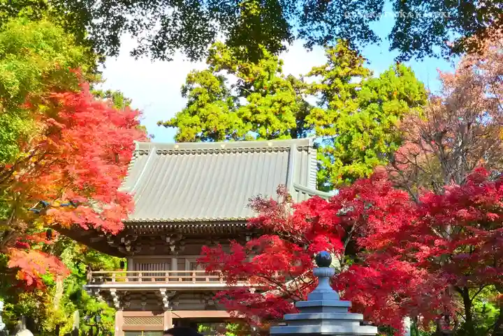 高尾山薬王院(東京都)