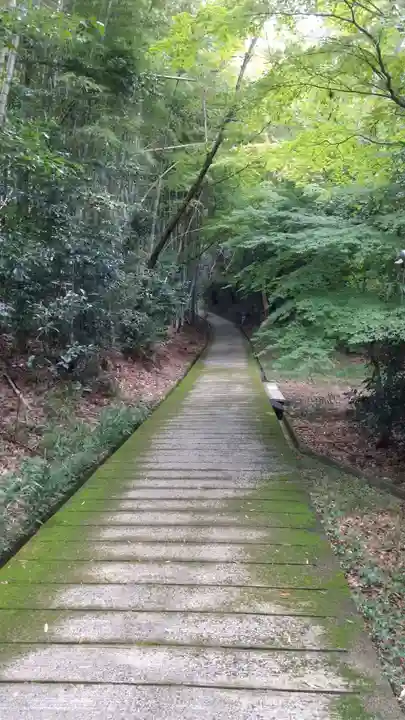 勝持寺(花の寺)のその他建物