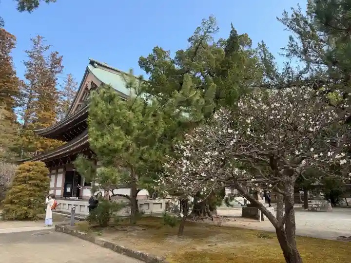 円覚寺の{uncategorized: "未分類", other: "その他", undefined: "問題あり", building: "その他建物", grave: "お墓", sacred_gate: "鳥居", guardian: "狛犬", statue: "像", buddha: "仏像", history: "歴史", nature: "自然", garden: "庭園", animal: "動物", pagoda: "塔", temizu: "手水舎", mountain_gate: "山門・神門", sanctuary: "本殿・本堂", subordinate: "末社・摂社", art: "芸術", scenery: "景色", jizo: "地蔵", ema: "絵馬", goshuin: "御朱印", omikuji: "おみくじ", items: "授与品その他", amulet: "お守り", goshuincho: "御朱印帳", eats: "食事", festival: "お祭り", votive_dance: "神楽", shichigosan: "七五三参", wedding: "結婚式", experience: "体験その他", initially: "初詣", around: "周辺", anti_infection: "感染症対策"}