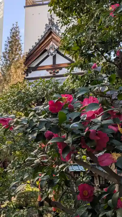 宝蔵寺(京都府)