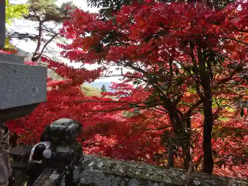 大山寺の自然