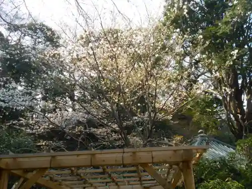 安國論寺（安国論寺）の景色