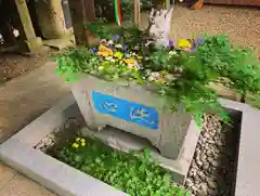 滑川神社 - 仕事と子どもの守り神の手水