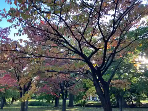 札幌護國神社の景色