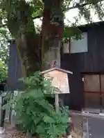 榎木大明神(京都府)