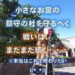 七重浜海津見神社の自然