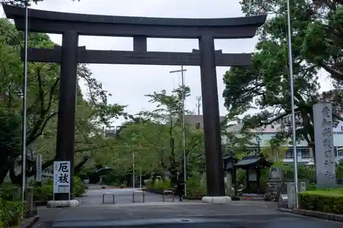 愛知縣護國神社の鳥居