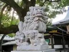 穴八幡宮の狛犬