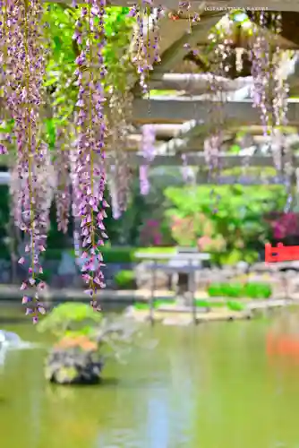 越ヶ谷久伊豆神社(埼玉県)