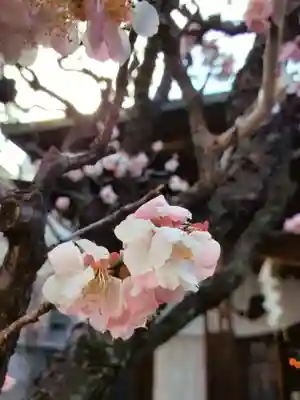 四谷於岩稲荷田宮神社(東京都)