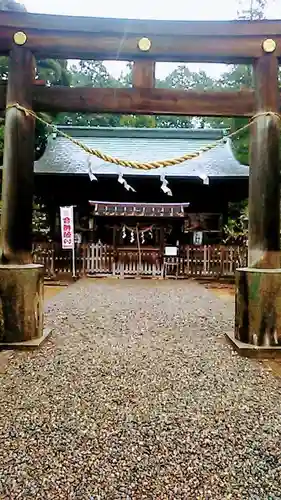 蒲生神社の本殿・本堂