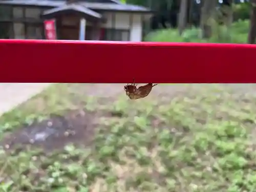 大宮温泉神社(栃木県)
