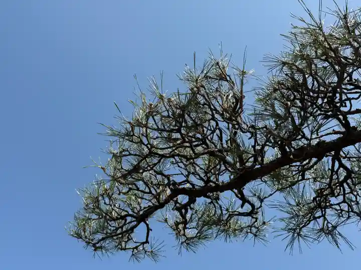 西方山極楽寺(岐阜県)