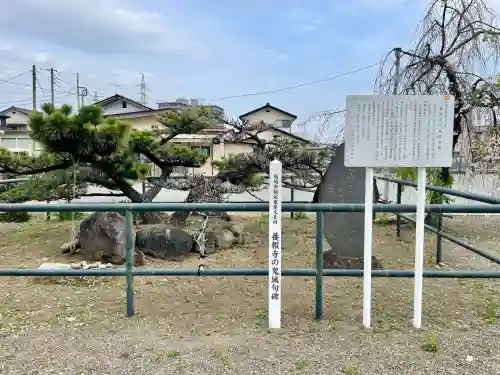 養報寺の{uncategorized: "未分類", other: "その他", undefined: "問題あり", building: "その他建物", grave: "お墓", sacred_gate: "鳥居", guardian: "狛犬", statue: "像", buddha: "仏像", history: "歴史", nature: "自然", garden: "庭園", animal: "動物", pagoda: "塔", temizu: "手水舎", mountain_gate: "山門・神門", sanctuary: "本殿・本堂", subordinate: "末社・摂社", art: "芸術", scenery: "景色", jizo: "地蔵", ema: "絵馬", goshuin: "御朱印", omikuji: "おみくじ", items: "授与品その他", amulet: "お守り", goshuincho: "御朱印帳", eats: "食事", festival: "お祭り", votive_dance: "神楽", shichigosan: "七五三参", wedding: "結婚式", experience: "体験その他", initially: "初詣", around: "周辺", anti_infection: "感染症対策"}