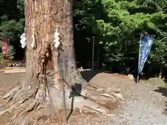 滑川神社 - 仕事と子どもの守り神の自然