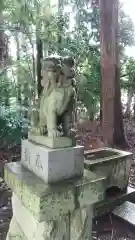 香取神社の狛犬