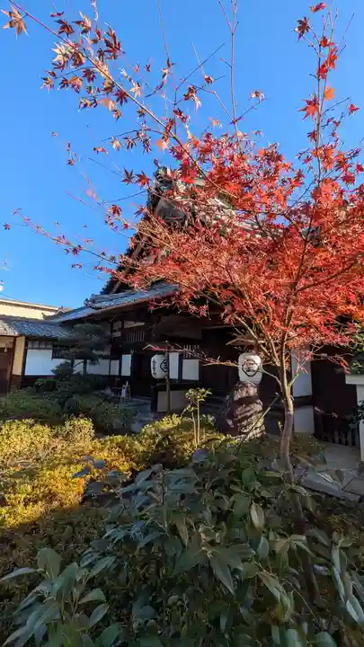 金臺寺(金台寺)(京都府)