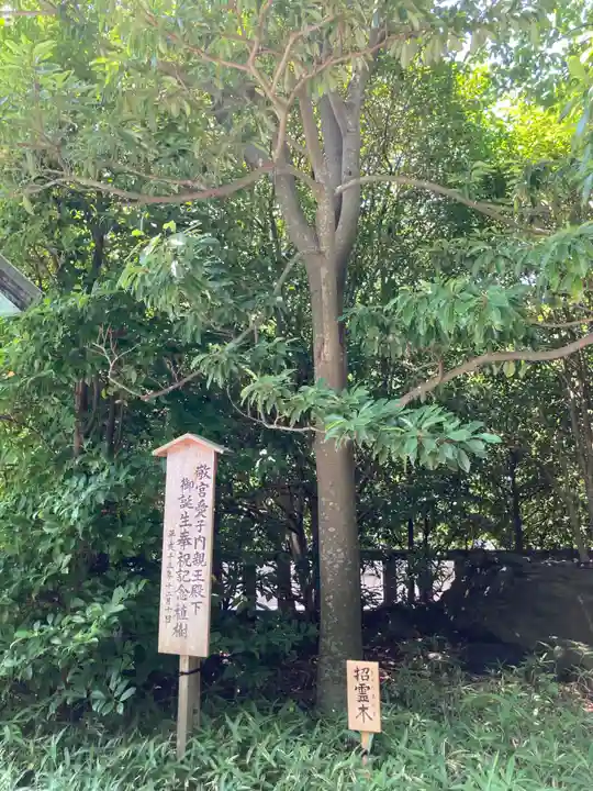 寒川神社(神奈川県)