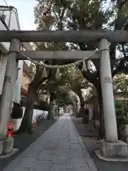 中野氷川神社の鳥居