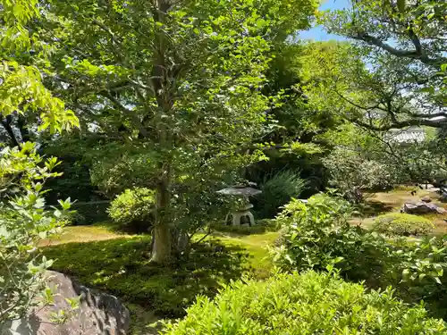 華厳寺（鈴虫寺）(京都府)