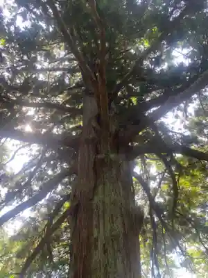 白河神社(福島県)