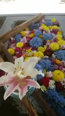 網走神社の手水舎