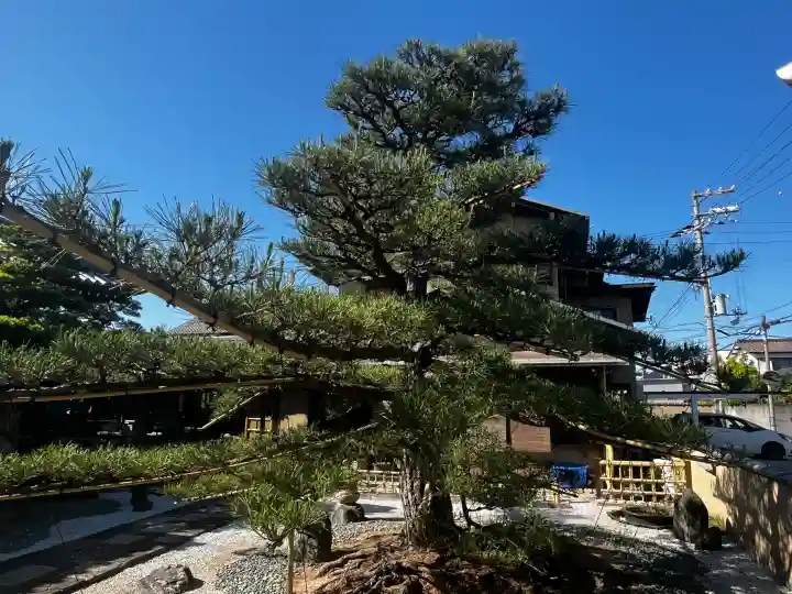 円明寺の{uncategorized: "未分類", other: "その他", undefined: "問題あり", building: "その他建物", grave: "お墓", sacred_gate: "鳥居", guardian: "狛犬", statue: "像", buddha: "仏像", history: "歴史", nature: "自然", garden: "庭園", animal: "動物", pagoda: "塔", temizu: "手水舎", mountain_gate: "山門・神門", sanctuary: "本殿・本堂", subordinate: "末社・摂社", art: "芸術", scenery: "景色", jizo: "地蔵", ema: "絵馬", goshuin: "御朱印", omikuji: "おみくじ", items: "授与品その他", amulet: "お守り", goshuincho: "御朱印帳", eats: "食事", festival: "お祭り", votive_dance: "神楽", shichigosan: "七五三参", wedding: "結婚式", experience: "体験その他", initially: "初詣", around: "周辺", anti_infection: "感染症対策"}