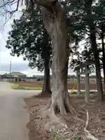 白幡神社(千葉県)
