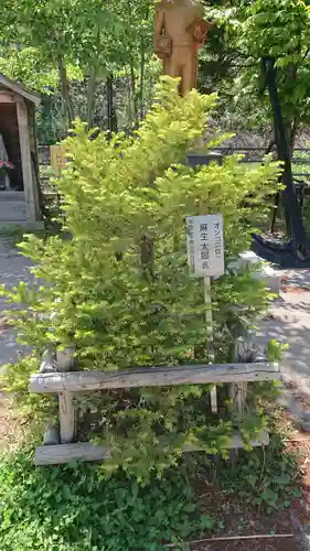 龍宮神社の自然