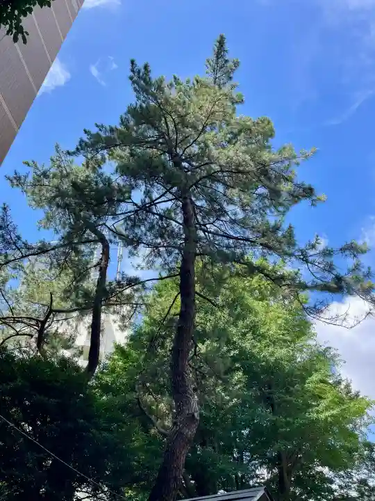 上目黒氷川神社(東京都)
