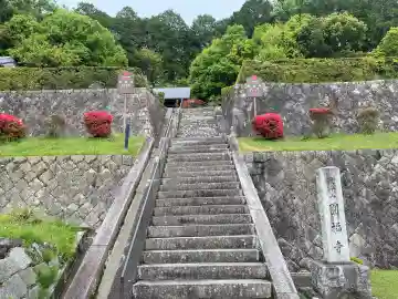 圓福寺の{uncategorized: "未分類", other: "その他", undefined: "問題あり", building: "その他建物", grave: "お墓", sacred_gate: "鳥居", guardian: "狛犬", statue: "像", buddha: "仏像", history: "歴史", nature: "自然", garden: "庭園", animal: "動物", pagoda: "塔", temizu: "手水舎", mountain_gate: "山門・神門", sanctuary: "本殿・本堂", subordinate: "末社・摂社", art: "芸術", scenery: "景色", jizo: "地蔵", ema: "絵馬", goshuin: "御朱印", omikuji: "おみくじ", items: "授与品その他", amulet: "お守り", goshuincho: "御朱印帳", eats: "食事", festival: "お祭り", votive_dance: "神楽", shichigosan: "七五三参", wedding: "結婚式", experience: "体験その他", initially: "初詣", around: "周辺", anti_infection: "感染症対策"}