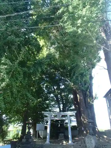 宮鍋神社の鳥居