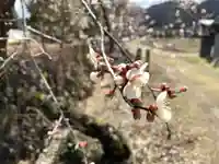 北野神社(福島県)