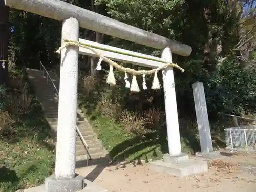 大井神社の鳥居