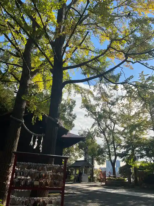 多摩川浅間神社(東京都)