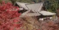 長谷寺の建物その他