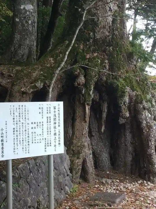 富士山東口本宮 冨士浅間神社の自然