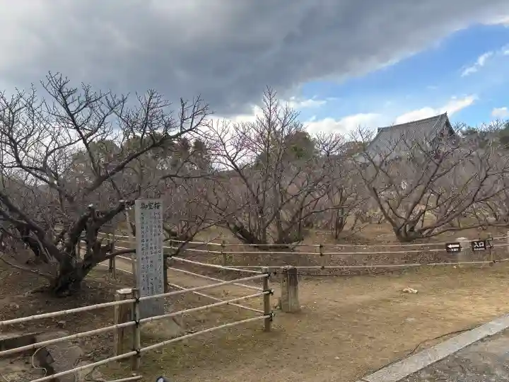 仁和寺の{uncategorized: "未分類", other: "その他", undefined: "問題あり", building: "その他建物", grave: "お墓", sacred_gate: "鳥居", guardian: "狛犬", statue: "像", buddha: "仏像", history: "歴史", nature: "自然", garden: "庭園", animal: "動物", pagoda: "塔", temizu: "手水舎", mountain_gate: "山門・神門", sanctuary: "本殿・本堂", subordinate: "末社・摂社", art: "芸術", scenery: "景色", jizo: "地蔵", ema: "絵馬", goshuin: "御朱印", omikuji: "おみくじ", items: "授与品その他", amulet: "お守り", goshuincho: "御朱印帳", eats: "食事", festival: "お祭り", votive_dance: "神楽", shichigosan: "七五三参", wedding: "結婚式", experience: "体験その他", initially: "初詣", around: "周辺", anti_infection: "感染症対策"}