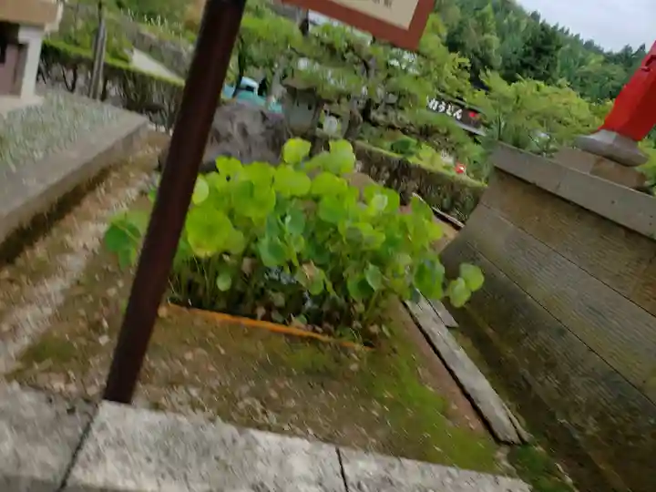 大谷寺(福井県)