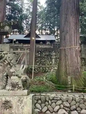 大洲七椙神社(長野県)