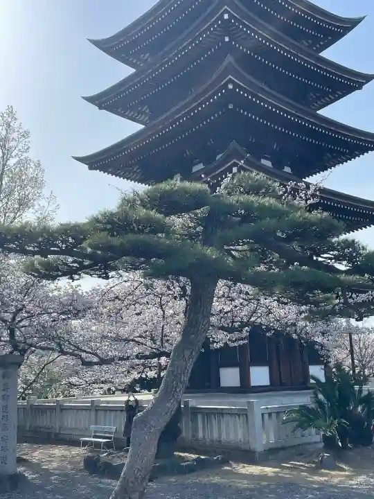 覚王山 日泰寺(愛知県)
