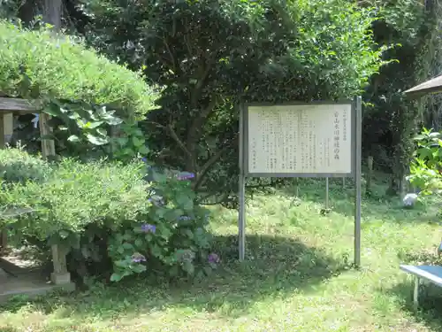 氷川神社(埼玉県)