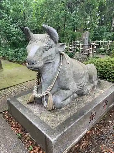 白岡八幡神社の狛犬