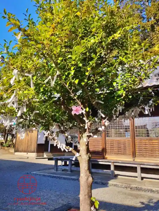 立志神社(滋賀県)
