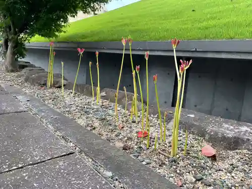 伊勢の国 四天王寺の自然