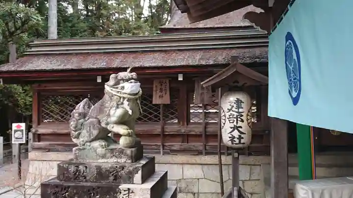 建部大社の狛犬