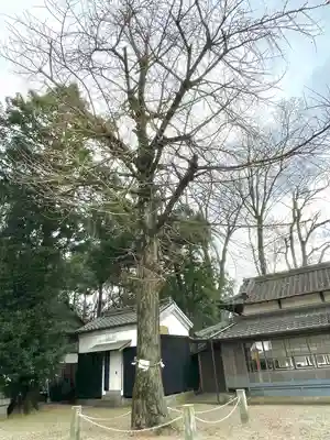 植木神社(三重県)